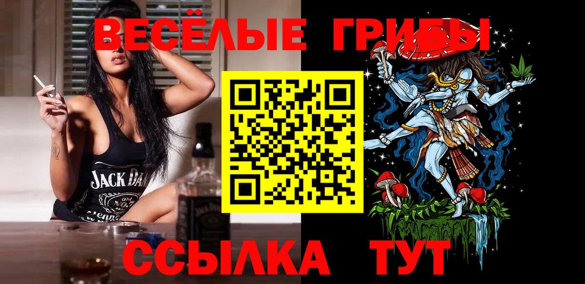 Галлюциногенные грибы Psilocybine cubensis Ульяновск