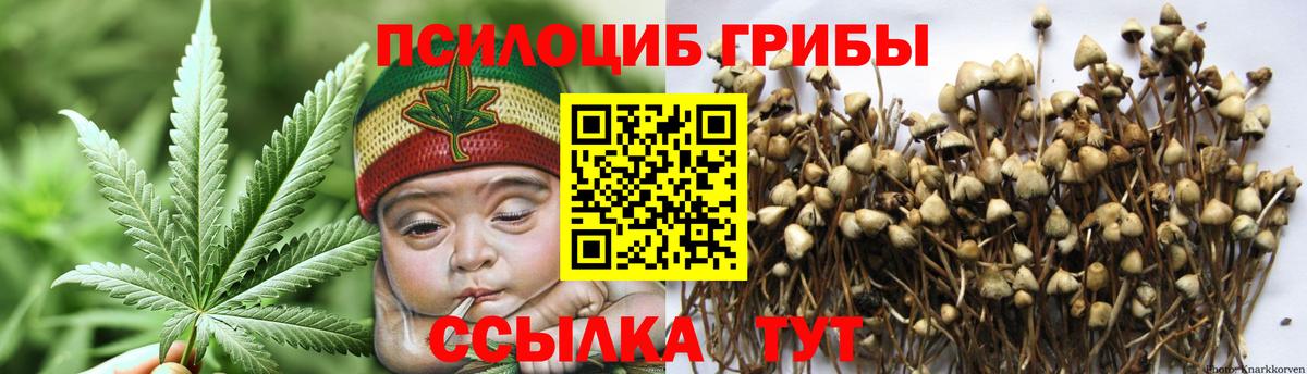 Ульяновск  Галлюциногенные грибы ЛСД  Вход с VPN 